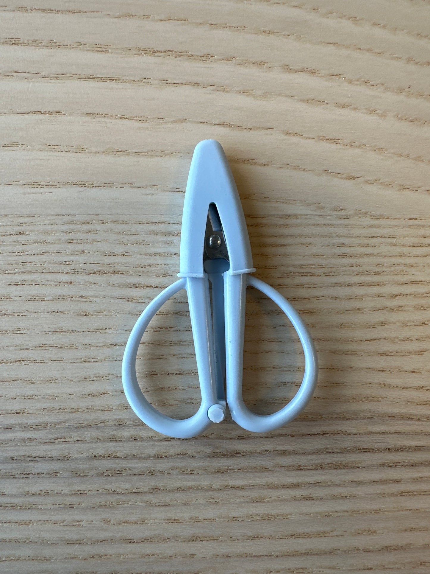 Blue Mini Scissors
