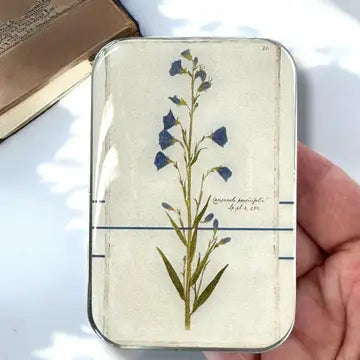 Notions Storage Tin