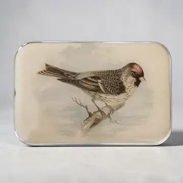 Notions Storage Tin