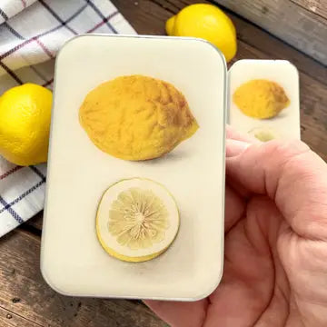 Notions Storage Tin