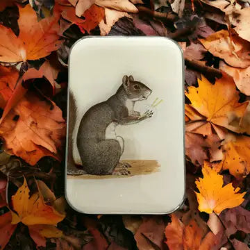 Notions Storage Tin